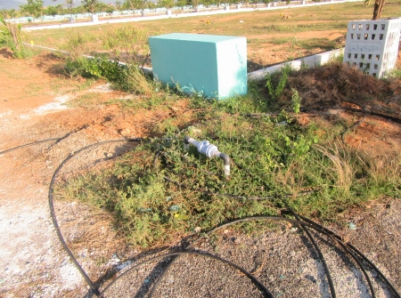 9) Water Suplly to Trees Through Drift system.JPG